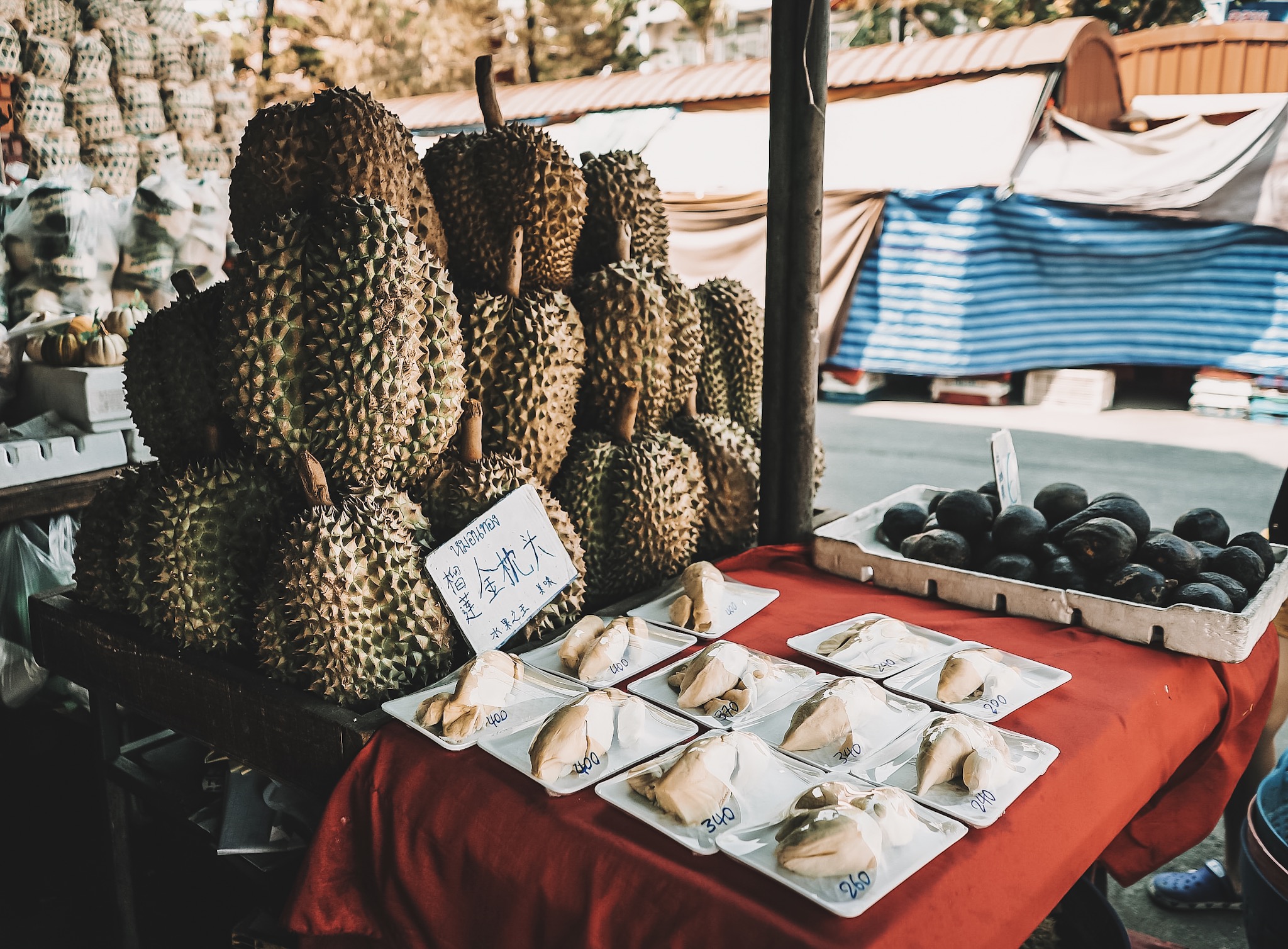 Street Food Tour in Chiang Mai - Keir Alexa